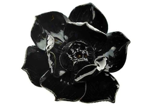 Holder Lotus Black Small